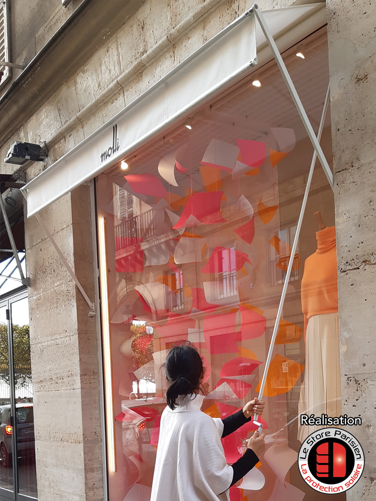 Store à projection - Paris 1er - Le Store Parisien